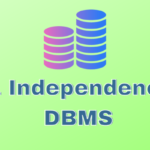 What is Data Independence in DBMS?